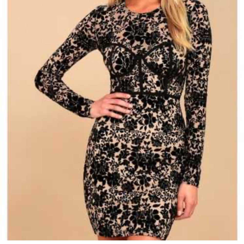 NWT! Lulus Black Velvet and Tan Mesh Floral Dress.